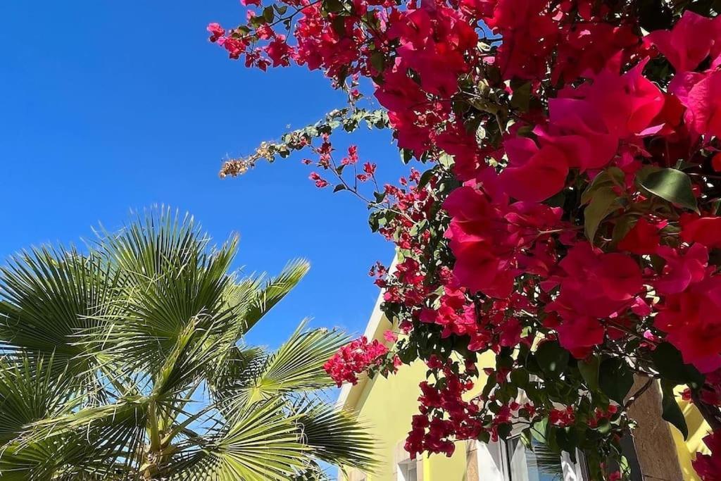 Villa Gemeo Vue Mer, Piscine Acces Prive Plage Calheta Exterior photo